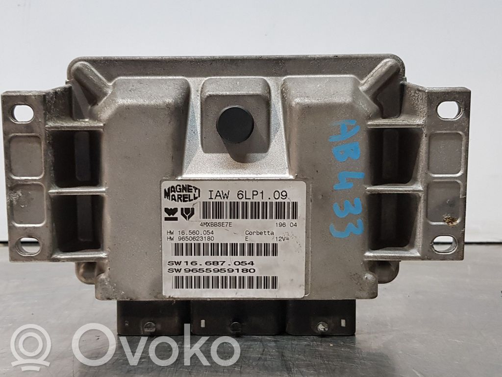 Peugeot 206 Engine control unit/module 