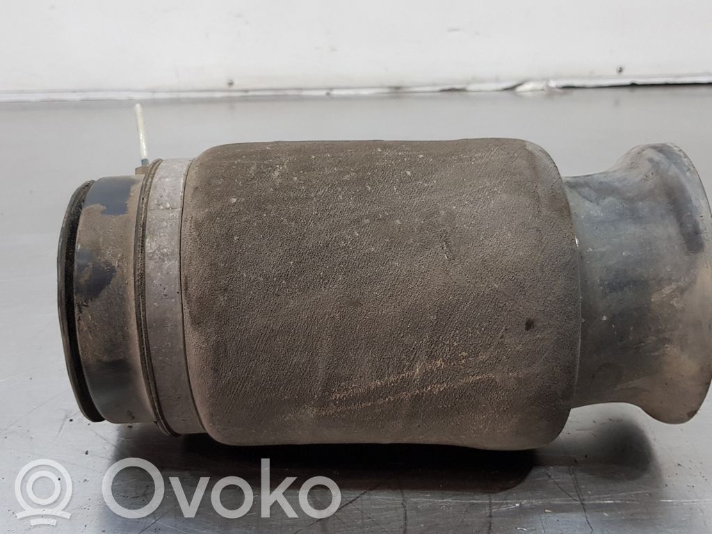 Front coil spring   A1663200325