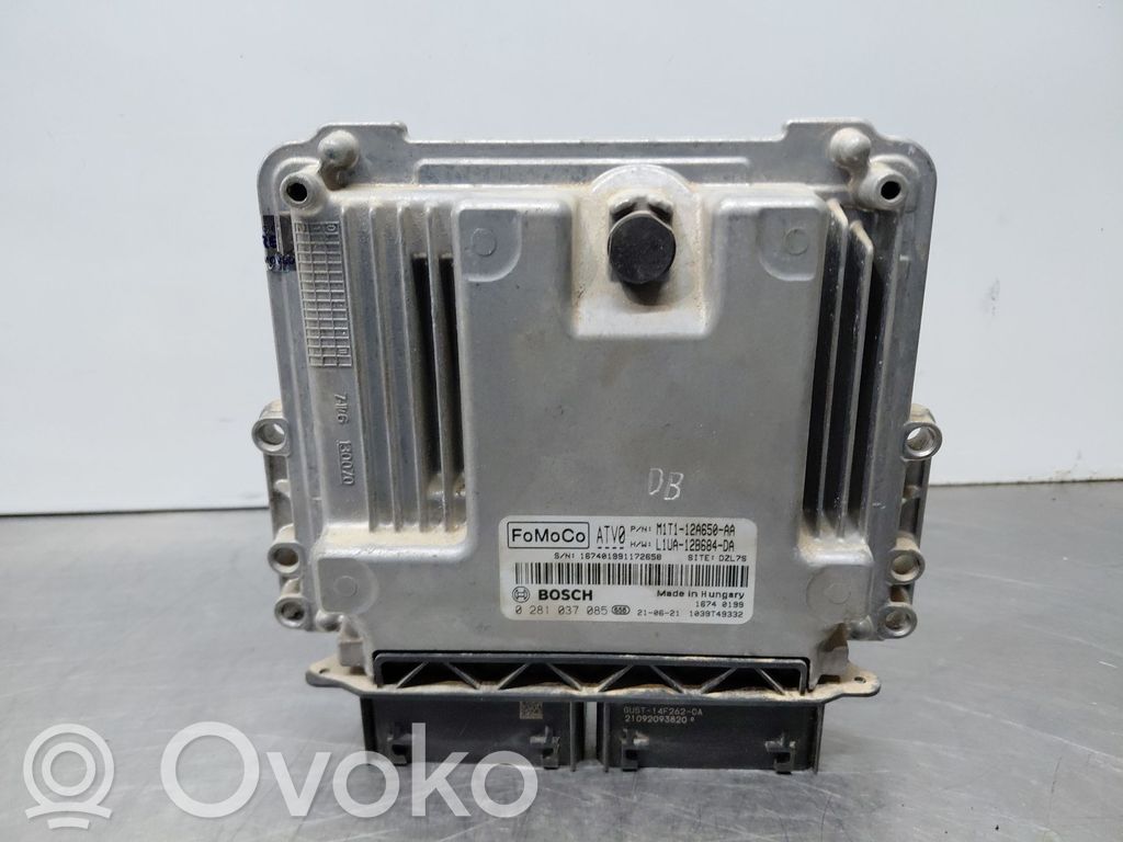 Engine control unit/module   M1T112A650AA,0281037085,L1UA128684DA