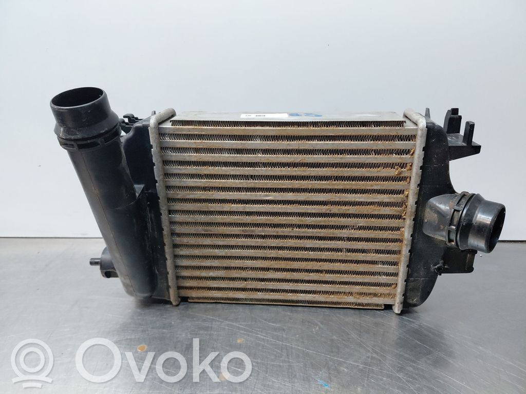 Nissan Juke II F16 Intercooler radiator 
