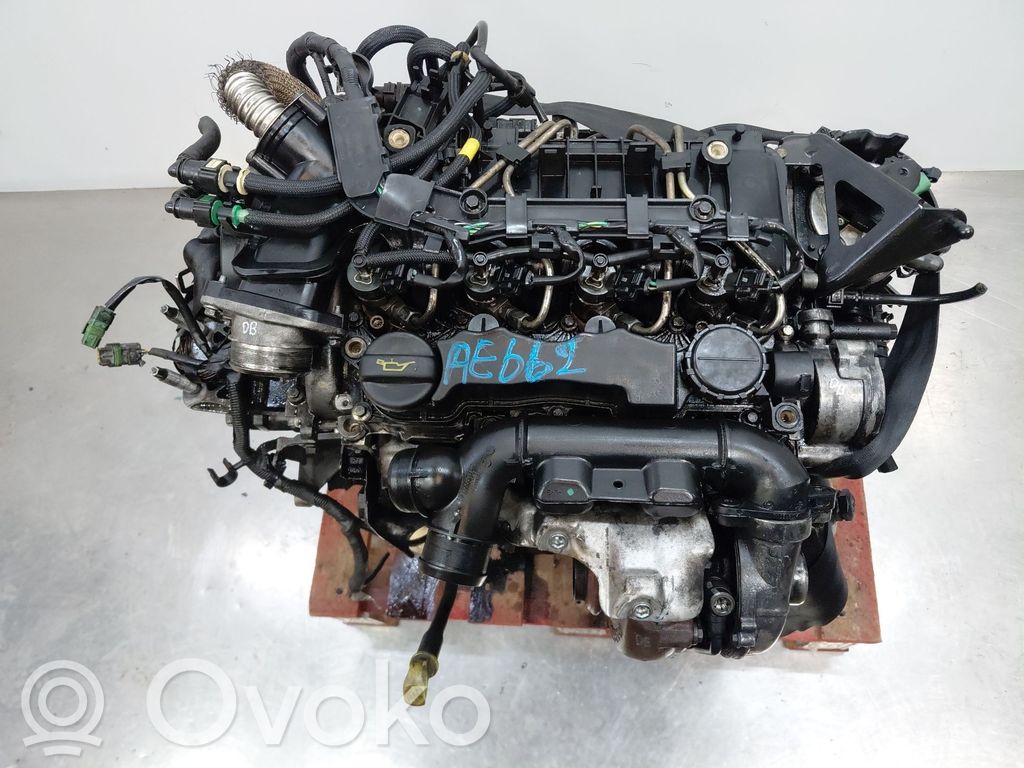 Motor   G8DB