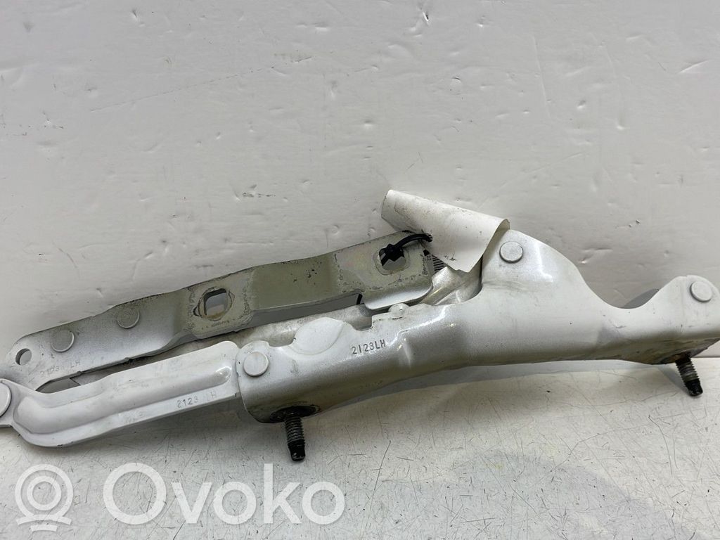 Tailgate/trunk/boot hinge   109531400C