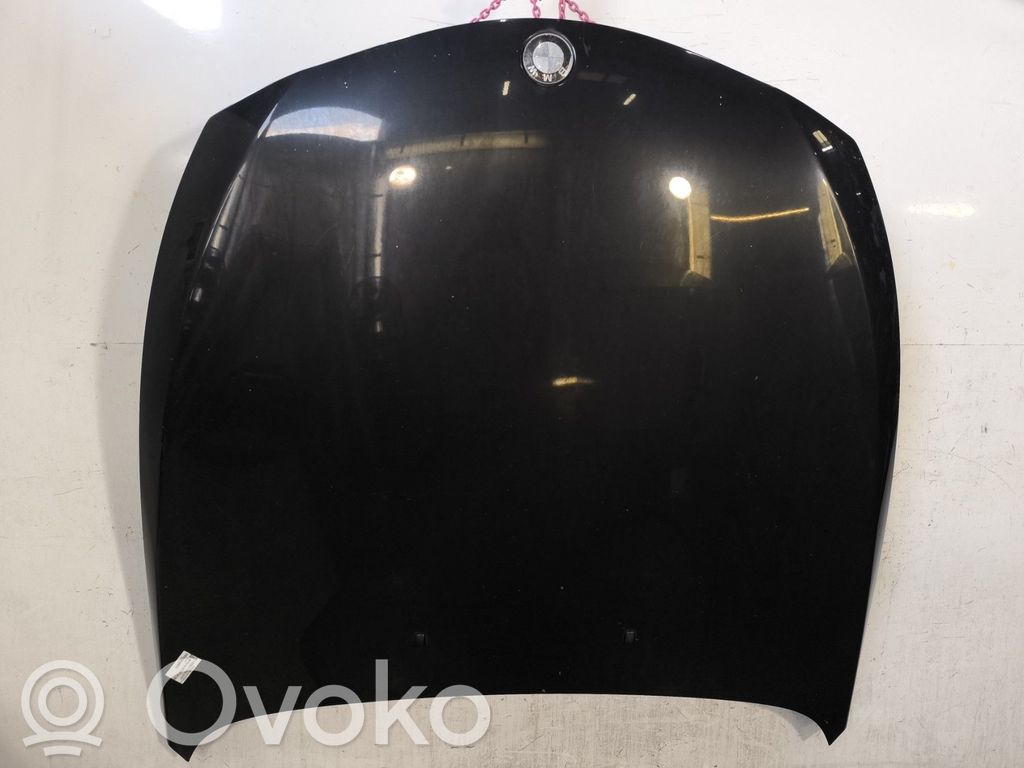 Dzinēja pārsegs (vāks)   41617008711