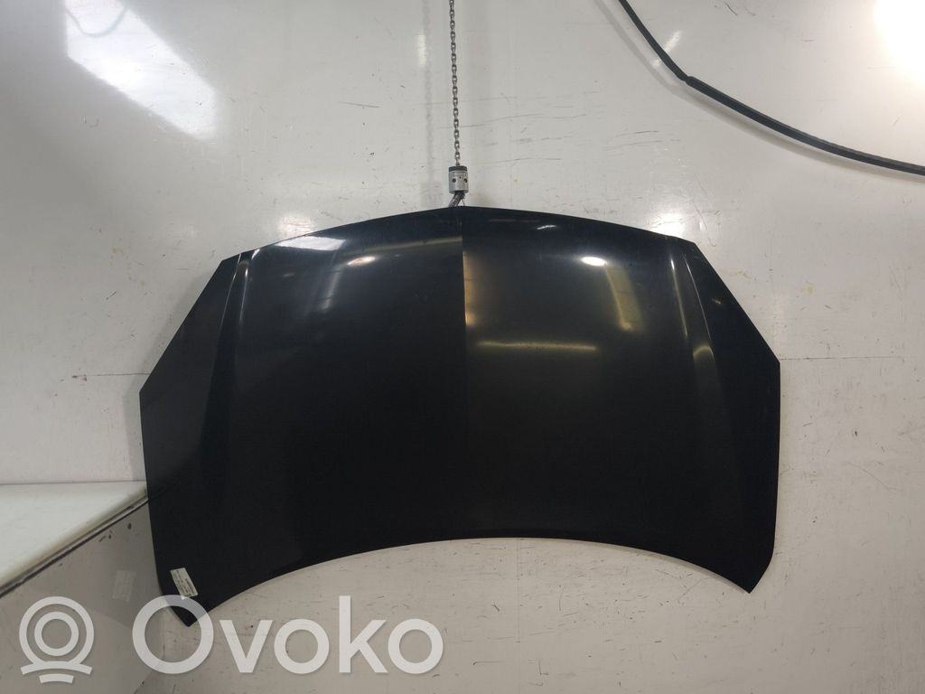 Motorhaube   651000024R