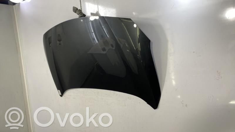 Motorhaube   651002244R