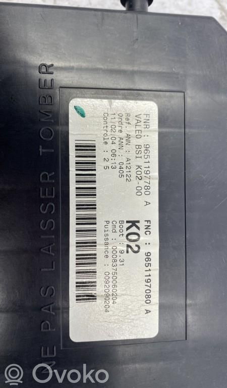 Peugeot 307 BSM Control unit 