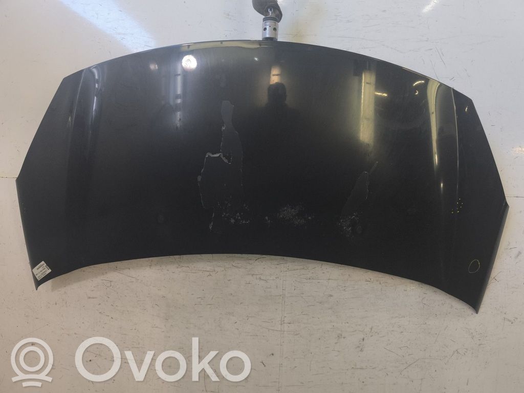 Motorhaube   00007901R1