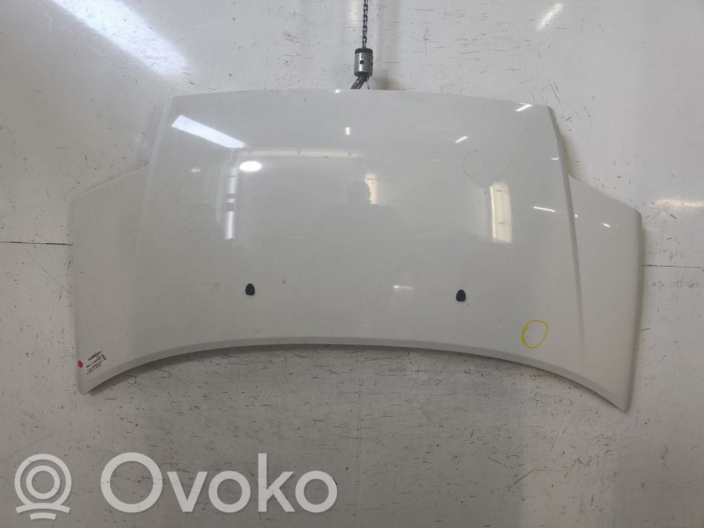 Dzinēja pārsegs (vāks)   7901Q3