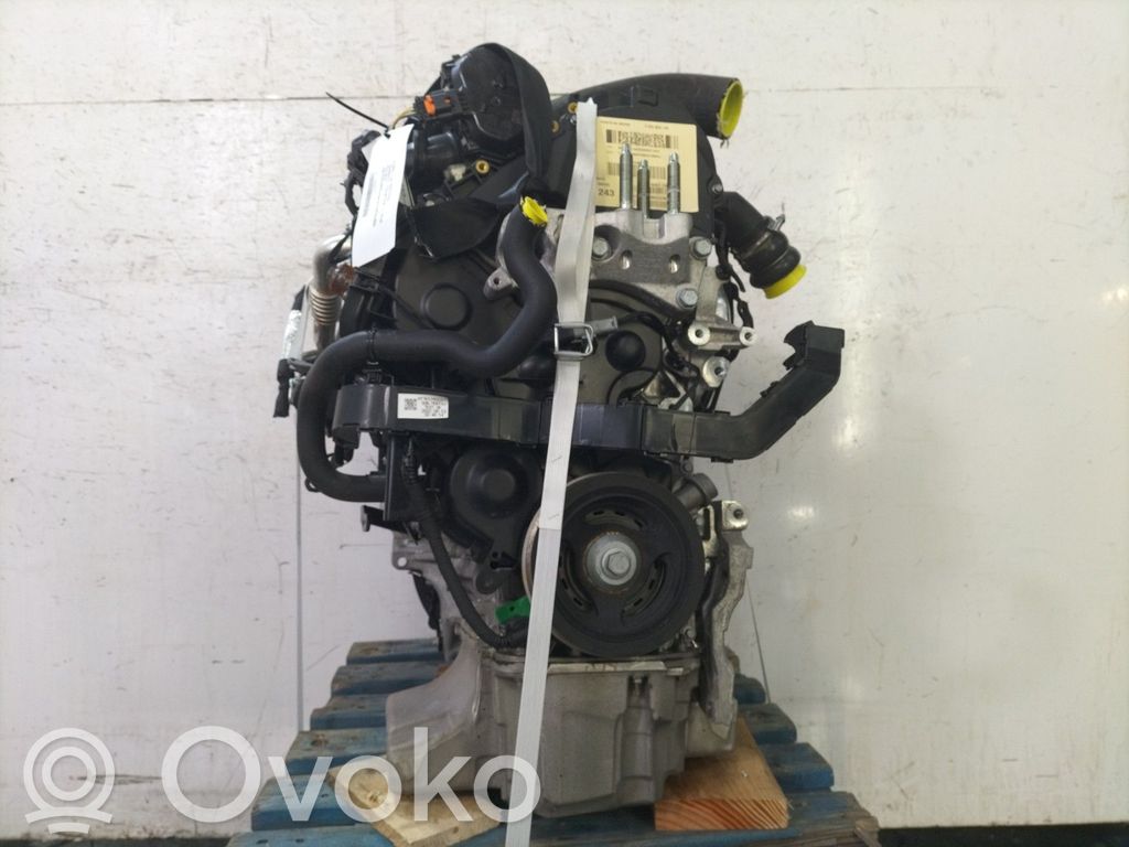 Variklis   2433073