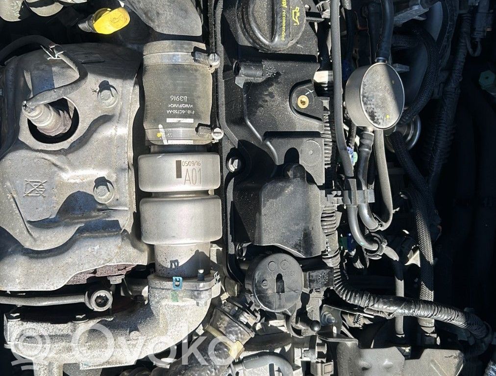Engine   2016367