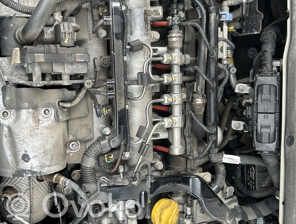 Motor   73503998