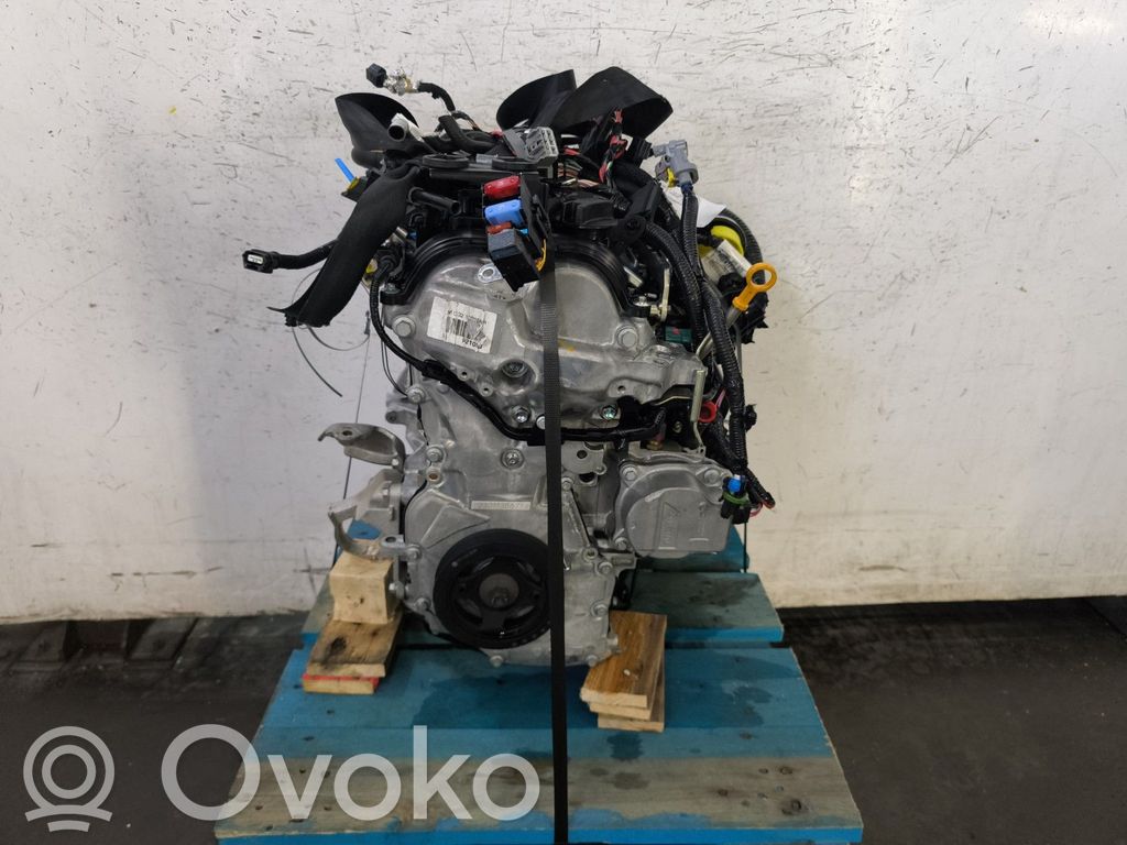 Variklis   8201746363