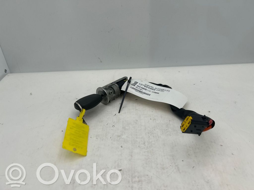 Virtalukko   6001546809