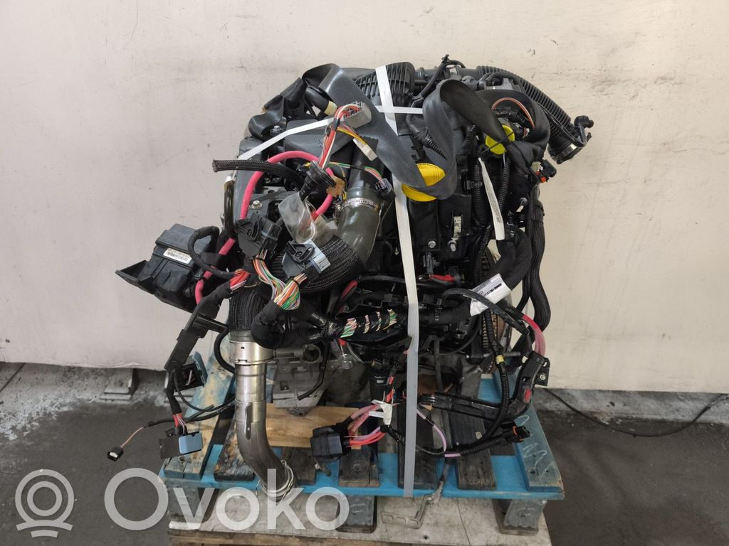 Renault Megane III Engine 