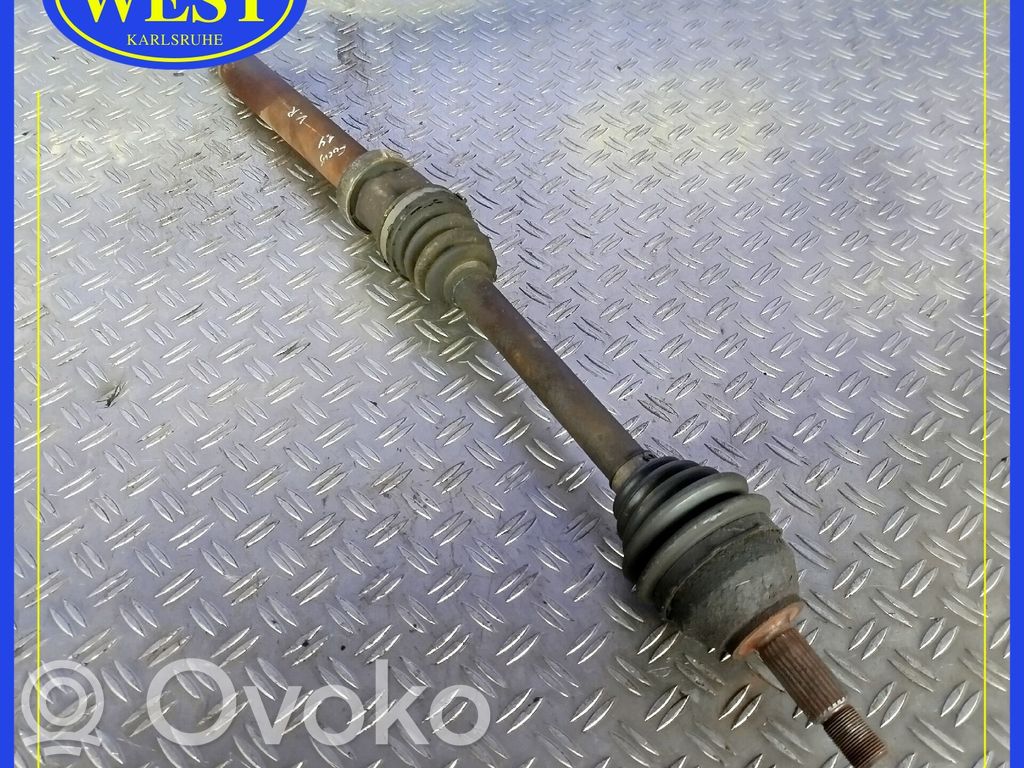 Priekšējā pusass   4166907