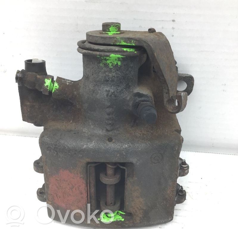 Takajarrusatula   6025308764