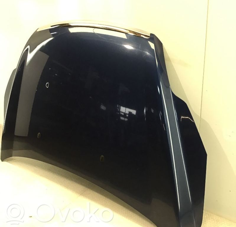 Engine bonnet/hood   P8M51A16610AE