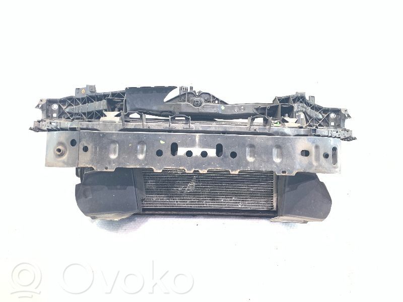 Ford C-MAX I Radiatorių panelė 
