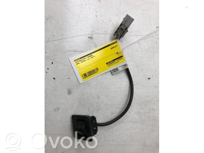 Camara trasera coche   13473347