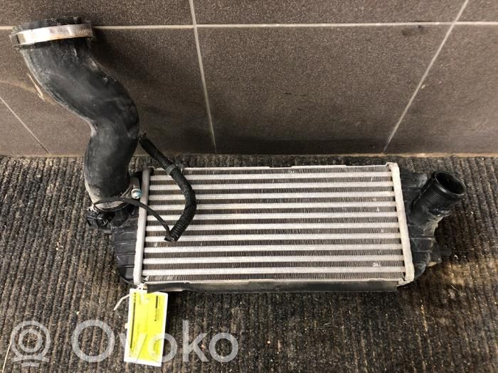 KIA Carens IV Radiatore intercooler 