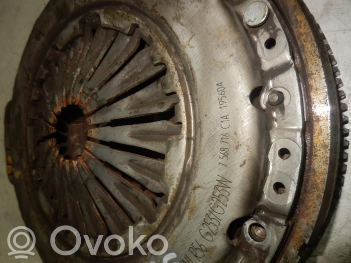 Flywheel   7568716