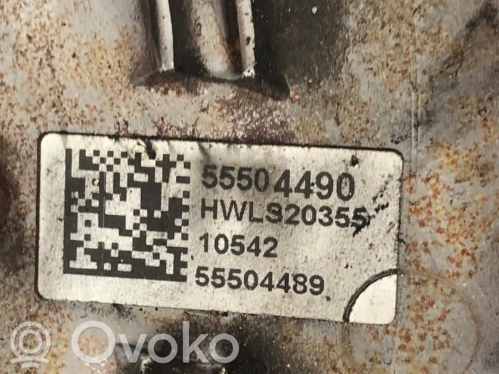 Flywheel   55504489
