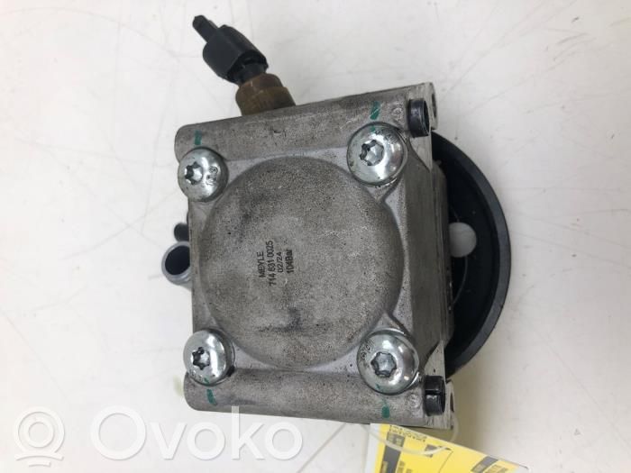 Power steering pump   7146310025