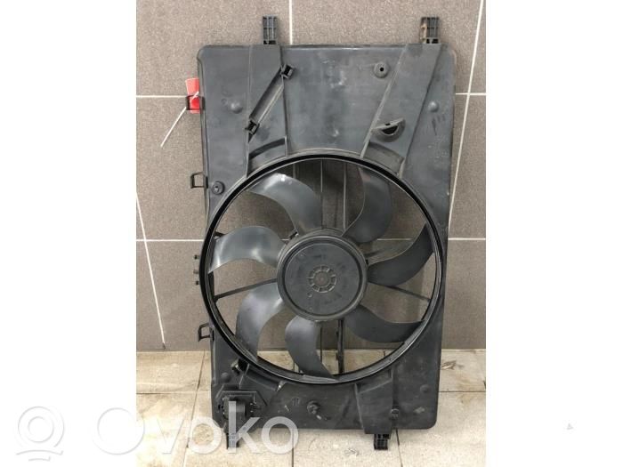 Engine control unit/module fan   52422320