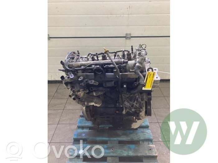 Variklis   55219167