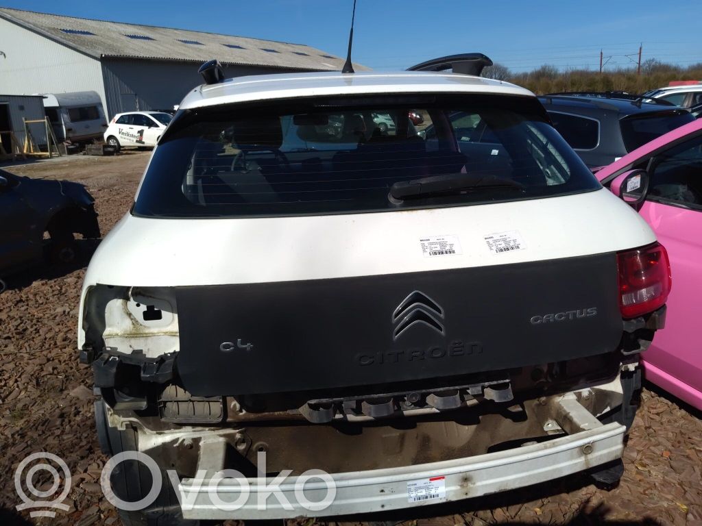 Citroen C4 Cactus Tailgate/trunk/boot lid 