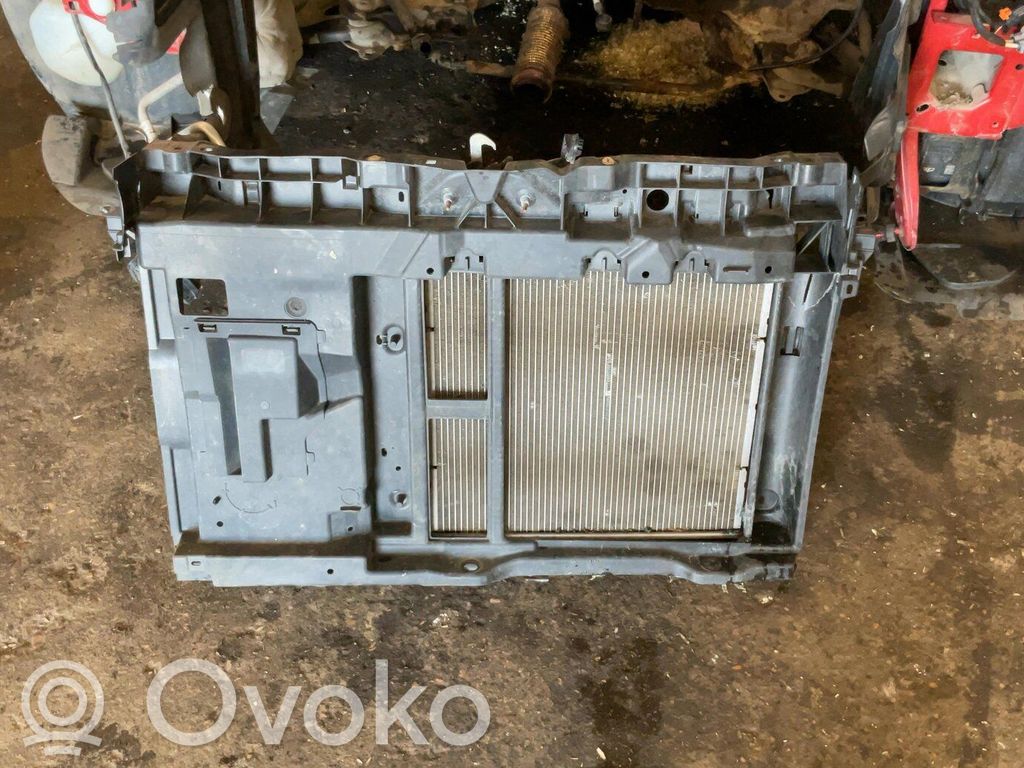 Radiatoru panelis   9677952180