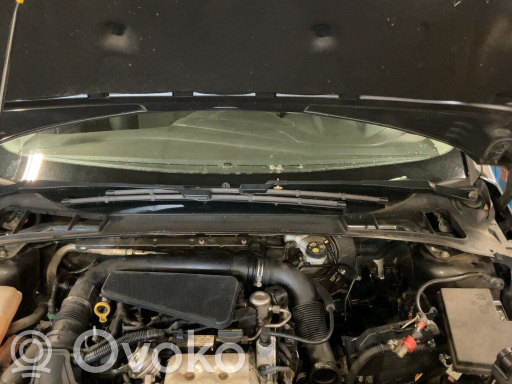 Ford Focus Wiper trim 