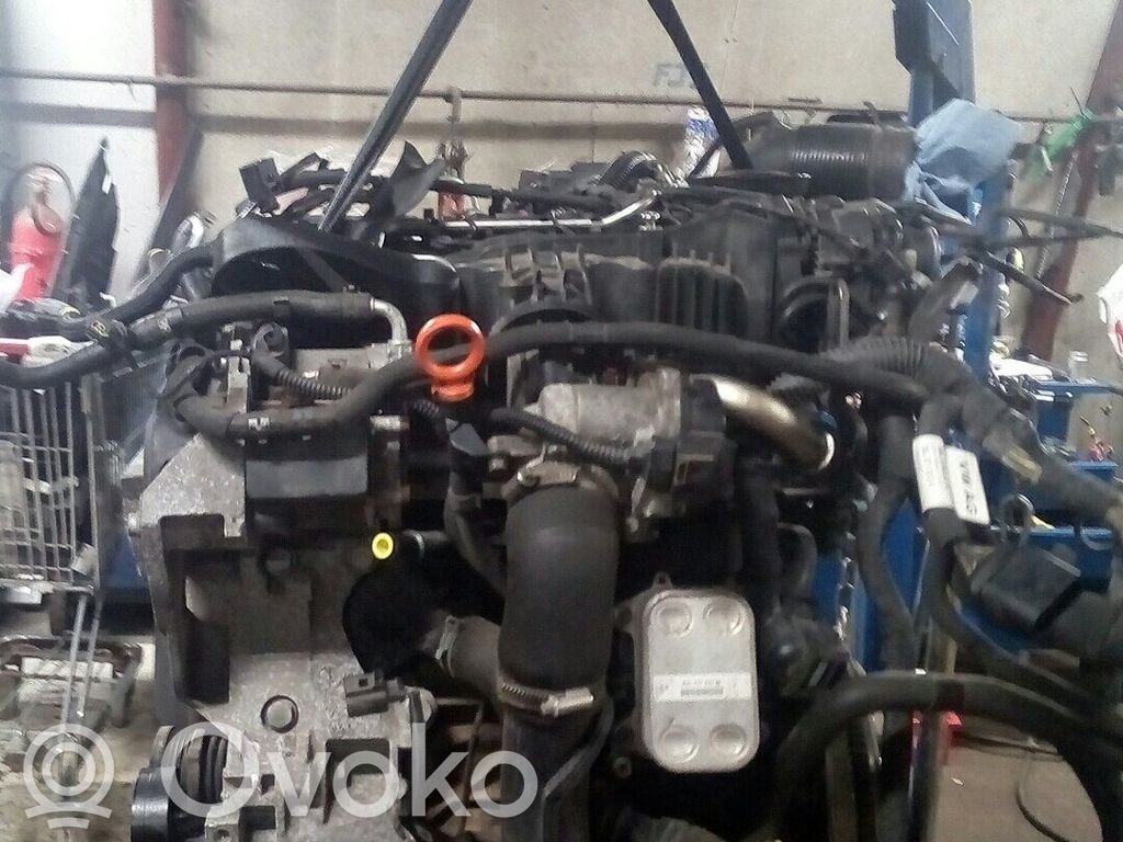 Volkswagen Polo V 6R Variklis 
