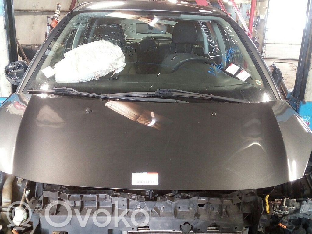Engine bonnet/hood   7901R1