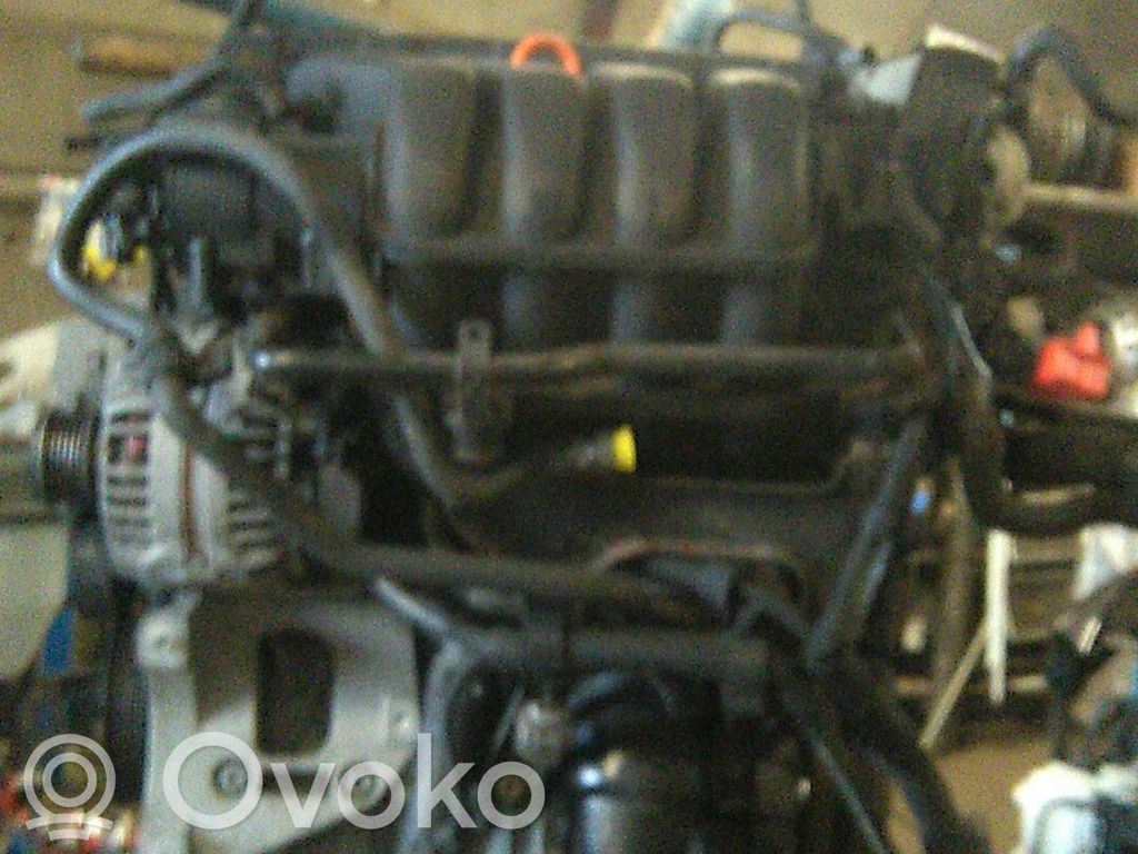 Motor   BVY
