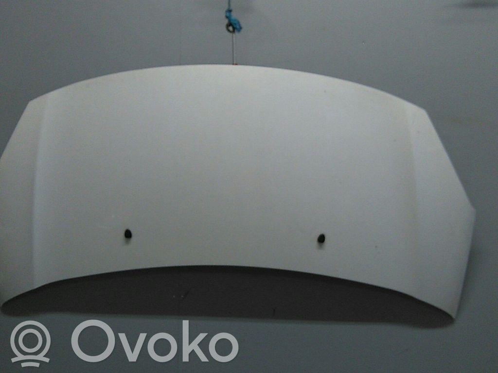 Engine bonnet/hood