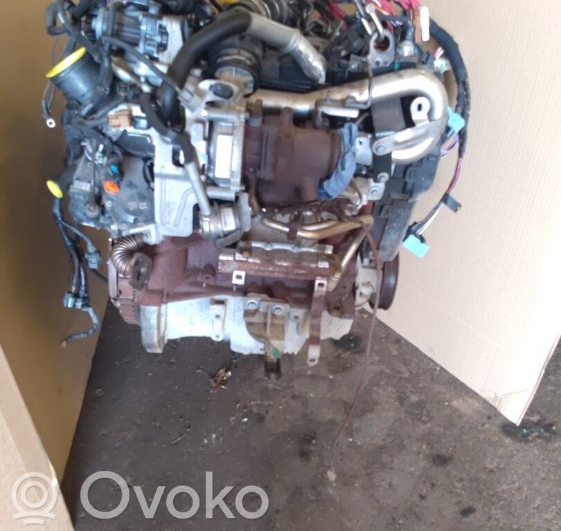 Renault Kangoo II Engine 