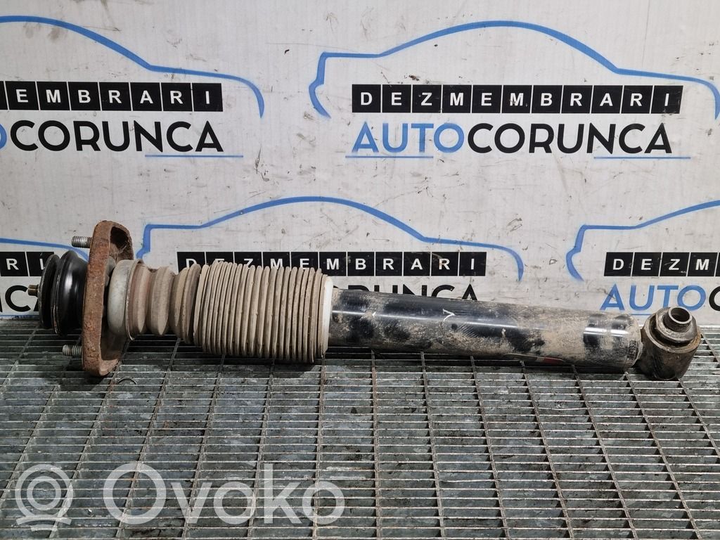 Rear shock absorber with coil spring