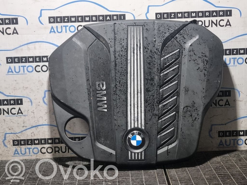 Engine hood trim