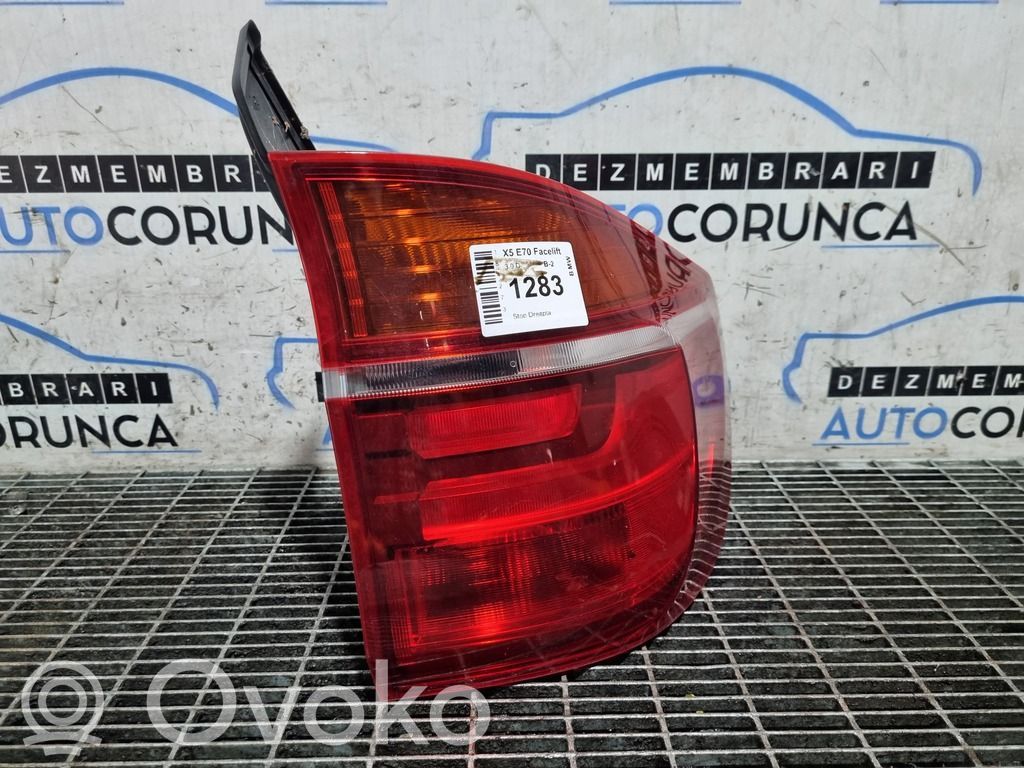 Rear/tail lights   7200818