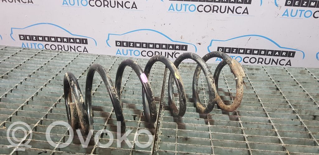 Front coil spring