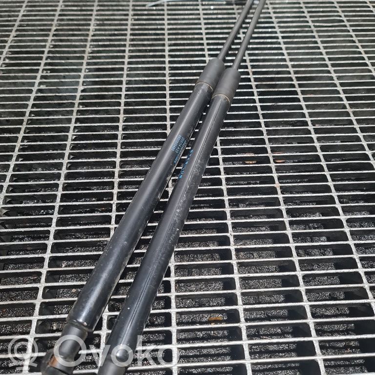 Citroen C4 Cactus Tailgate/trunk strut/damper 