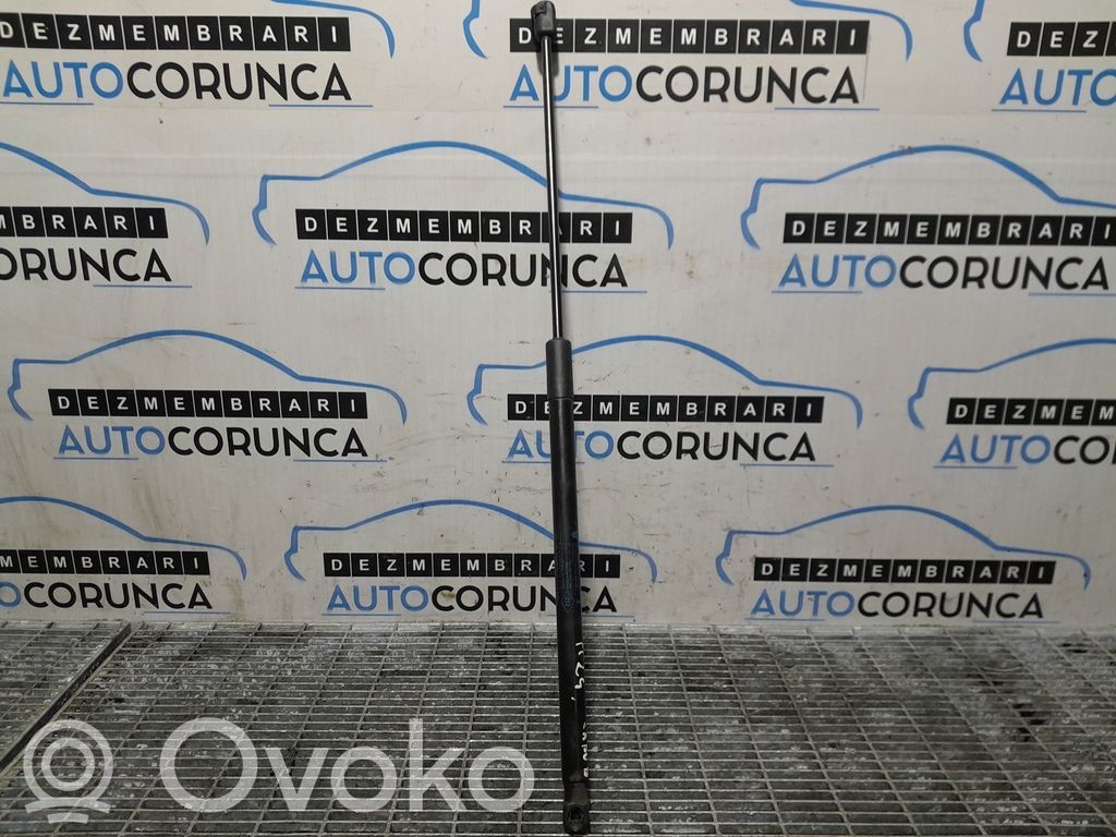 Tailgate/trunk strut/damper   904520004R