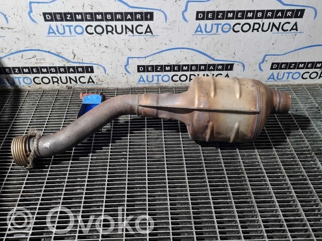 Filtr cząstek stałych Katalizator / FAP / DPF   208021717RA