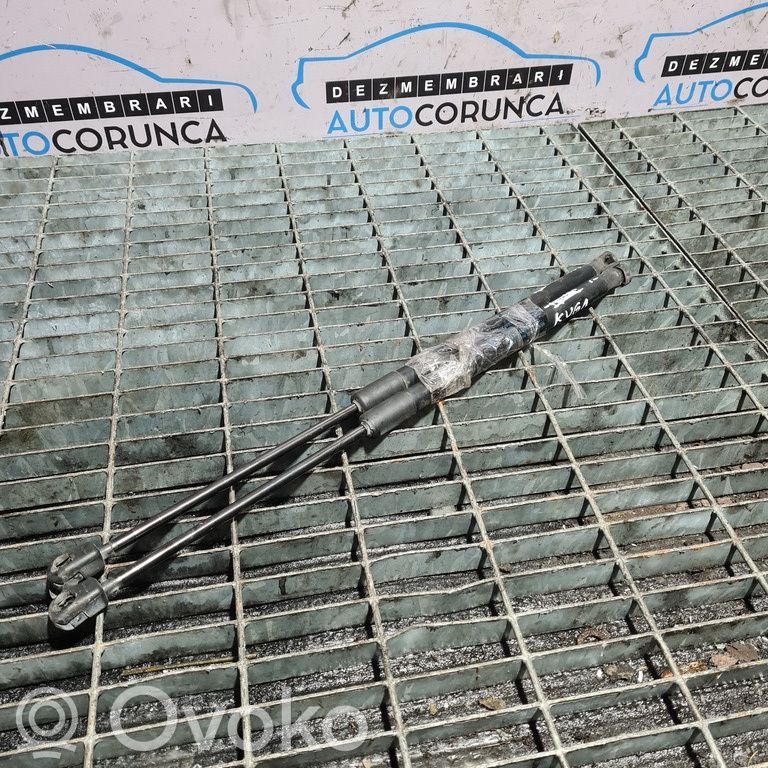 Ford Kuga I Tailgate/trunk strut/damper 