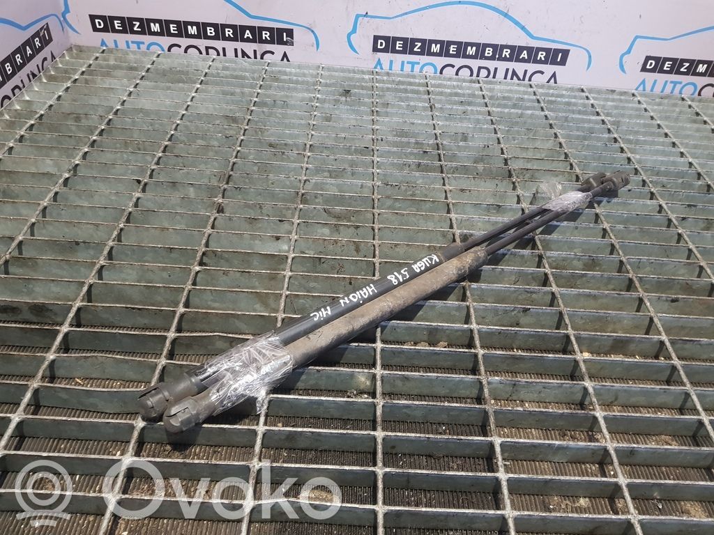 Tailgate/trunk strut/damper   DELALUNETA