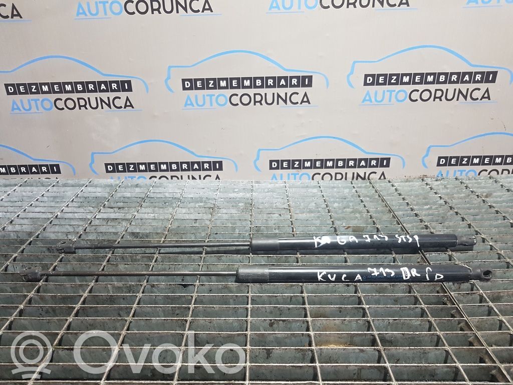 Ford Kuga I Tailgate/trunk strut/damper 