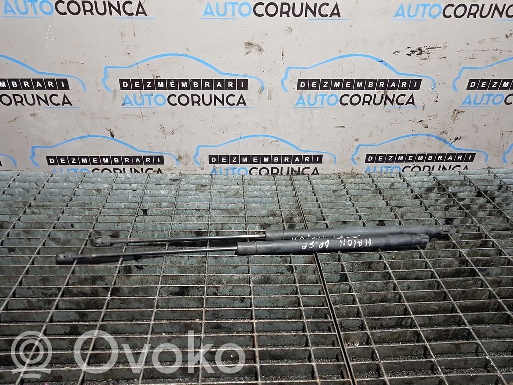 Tailgate/trunk strut/damper   1729322