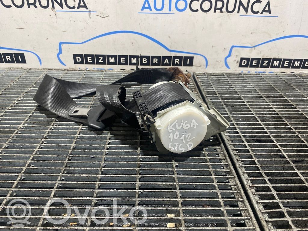 Cinturón trasero   CV44611B68BA
