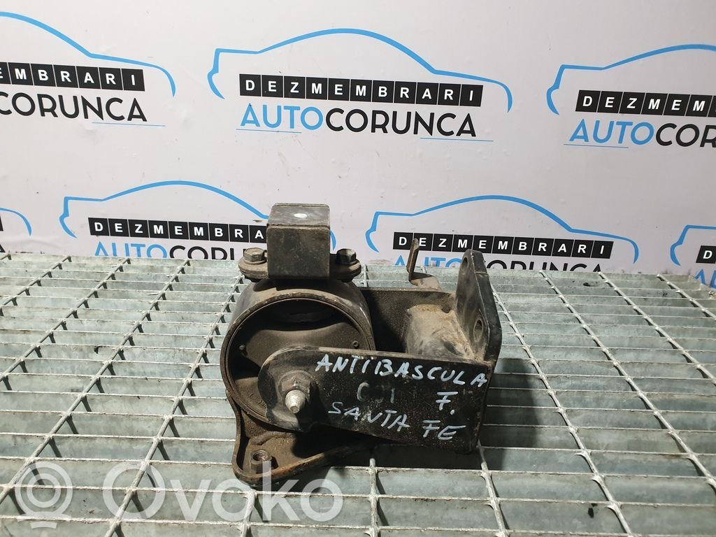 Hyundai Santa Fe Engine mounting bracket 
